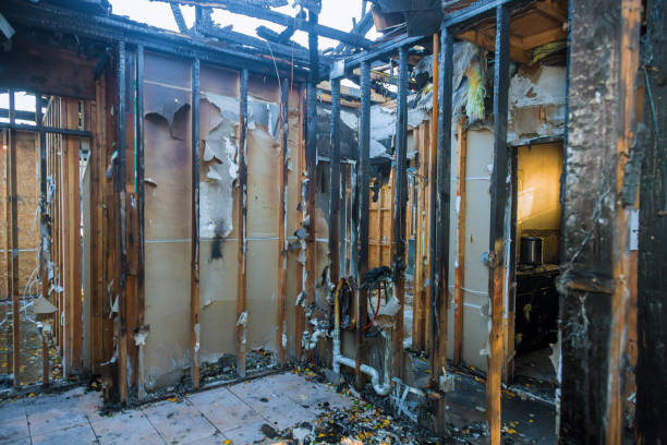 Professional Odor Removal technician working in Bellevue, WI
