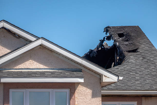 Top rated local Odor Removal specialists in Bellevue, WI